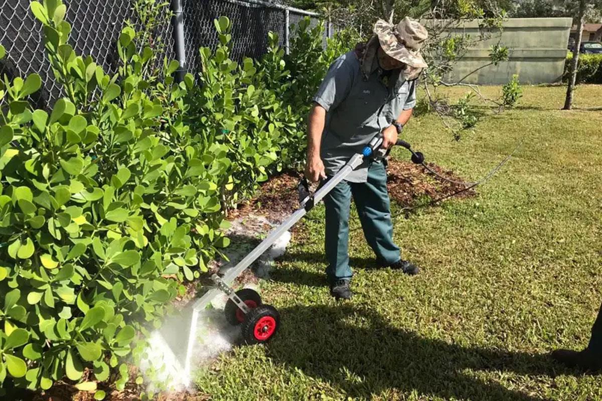 Plant-based hot foam kills weeds as effectively as chemical spray